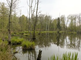 2023_naturschutzgebiet_reusenberg_cr