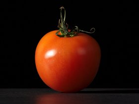 2015_kultursommer_ikonen_der_natur