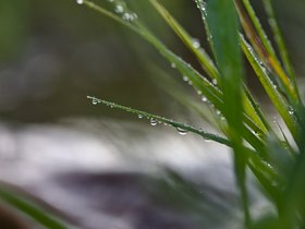 2017_kultursommer_morgengrauen