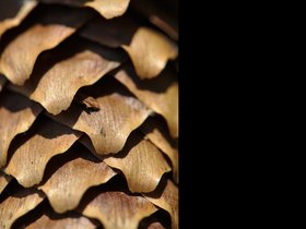 2017_kultursommer_natur