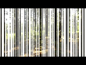 2018_kultursommer_wald_in_vertikal