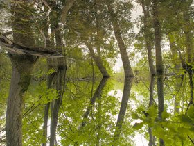 2021_kultursommer_marchenwald