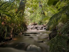 2023_kultursommer_vosshoelensiepen